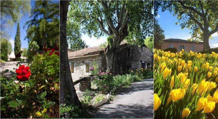 Le Hameau De L'Etoile Hotel Saint-Martin-de-Londres Luaran gambar